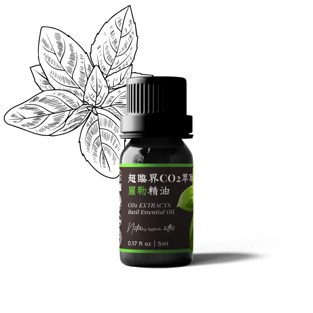 超臨界CO2萃取羅勒精油