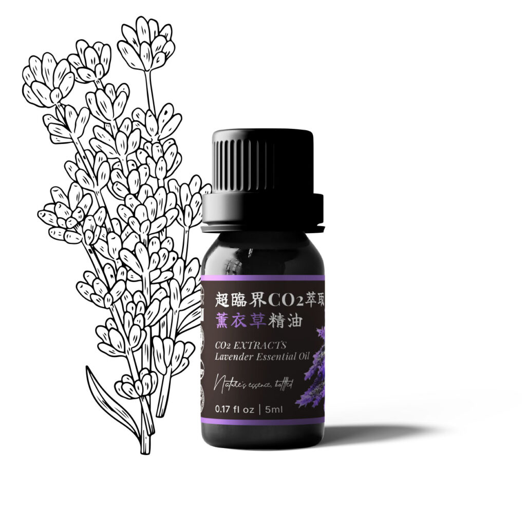 超臨界CO2萃取薰衣草精油