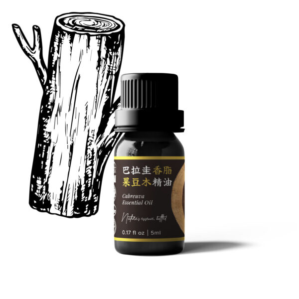 巴拉圭香脂果豆木精油