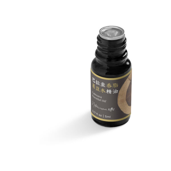巴拉圭香脂果豆木精油：圖片 5