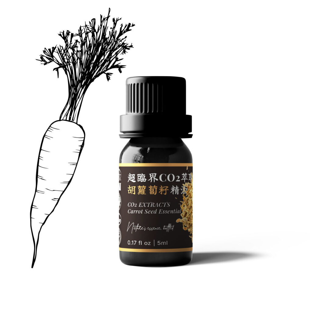 超臨界CO2萃取胡蘿蔔籽精油