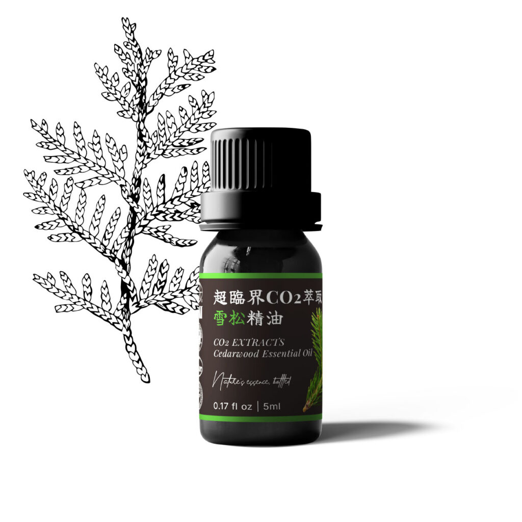 超臨界CO2萃取雪松精油