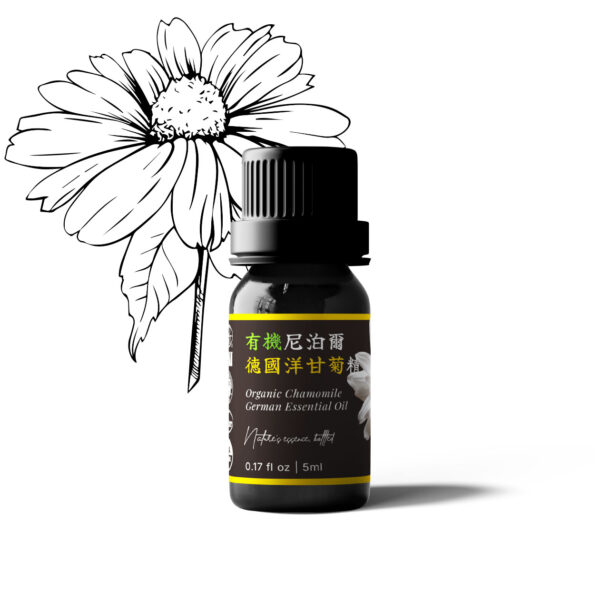 有機尼泊爾德國洋甘菊精油