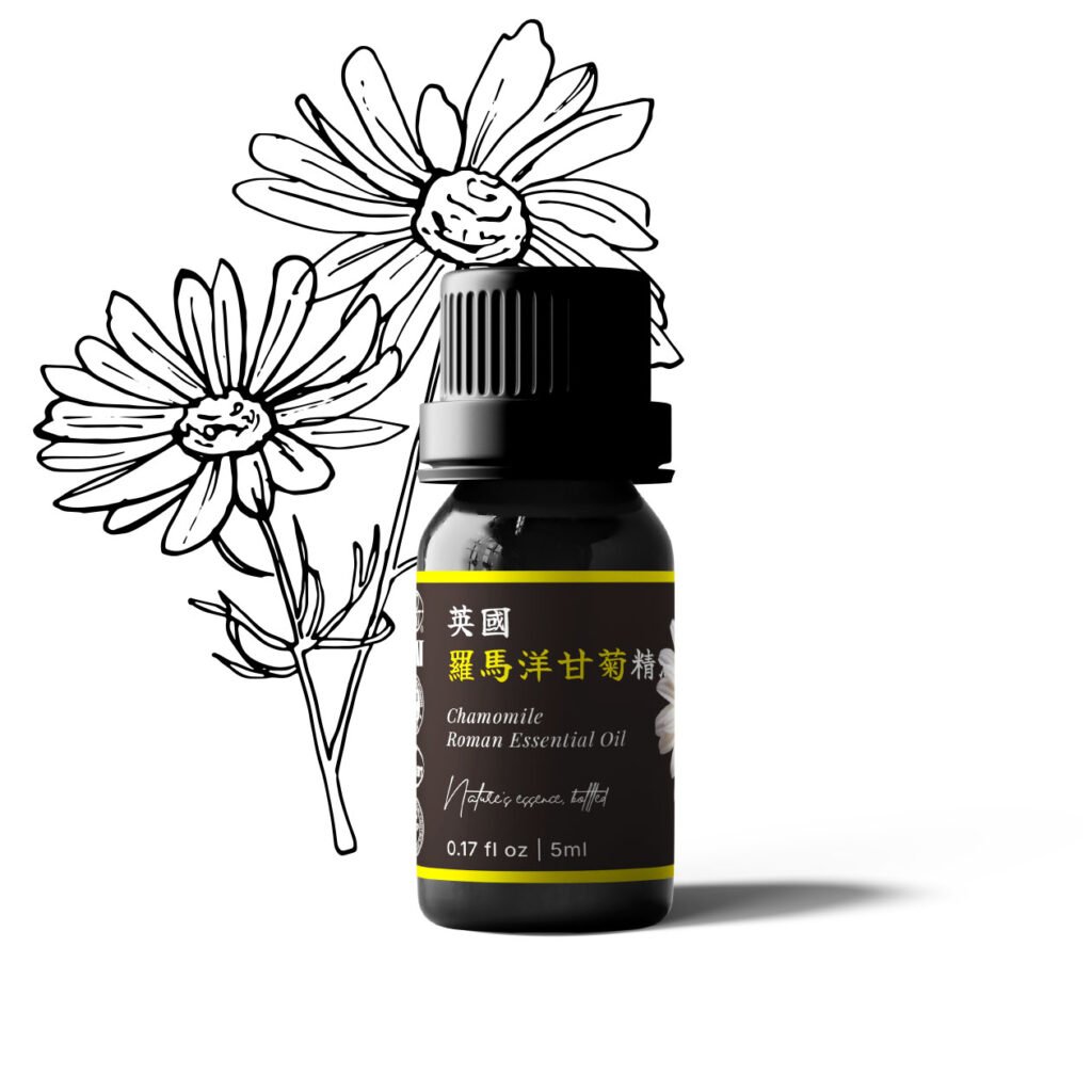 英國羅馬洋甘菊精油