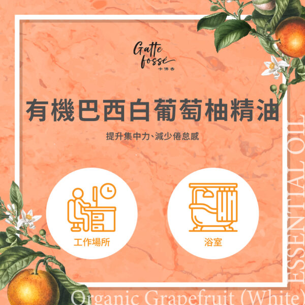 有機巴西白葡萄柚精油：圖片 3