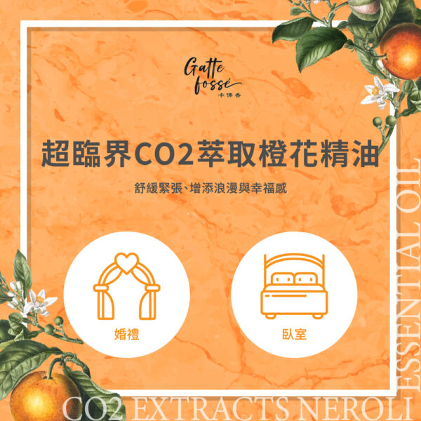 超臨界CO2萃取橙花精油：圖片 3
