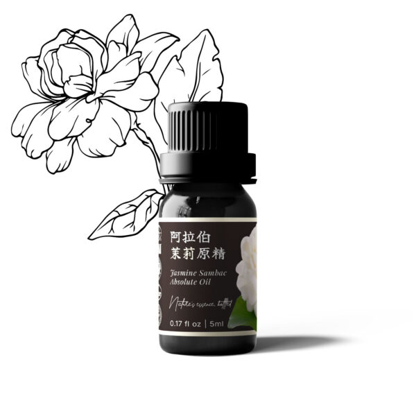阿拉伯茉莉原精