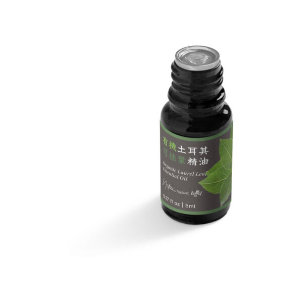 有機土耳其月桂葉精油：圖片 5