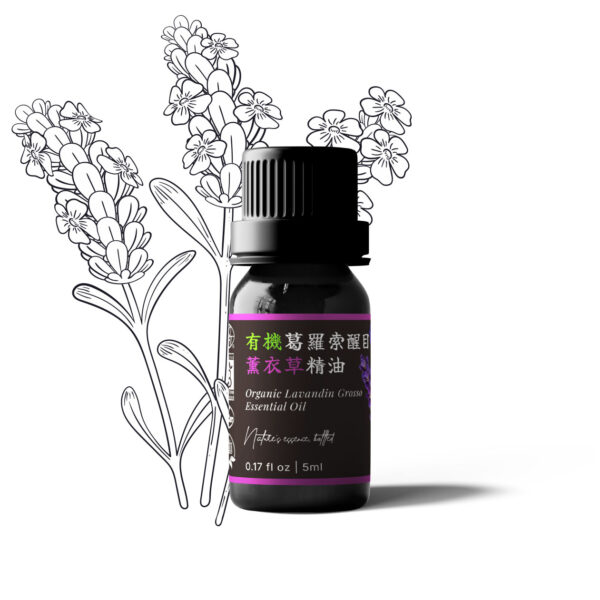 有機葛羅索醒目薰衣草精油