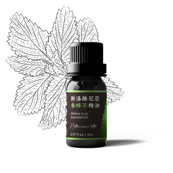 斯洛維尼亞香蜂草精油