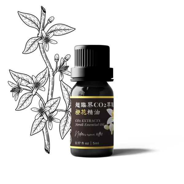 超臨界CO2萃取橙花精油