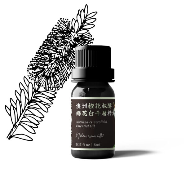 澳洲橙花叔醇綠花白千層精油