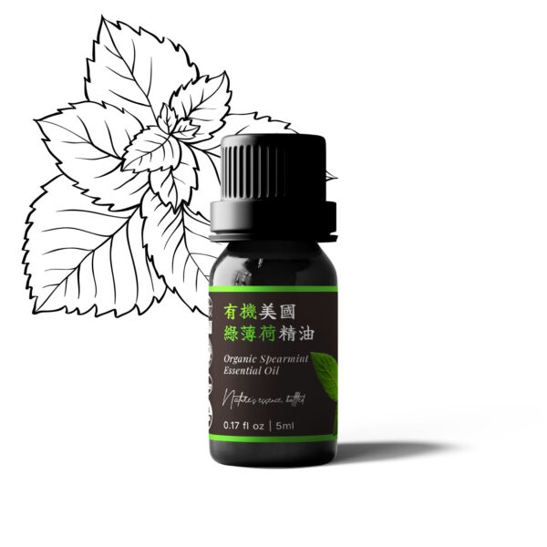 有機美國綠薄荷精油