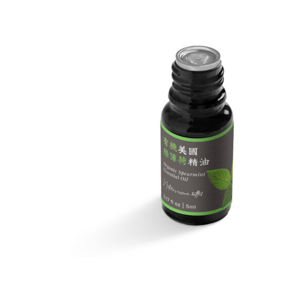 有機美國綠薄荷精油：圖片 5