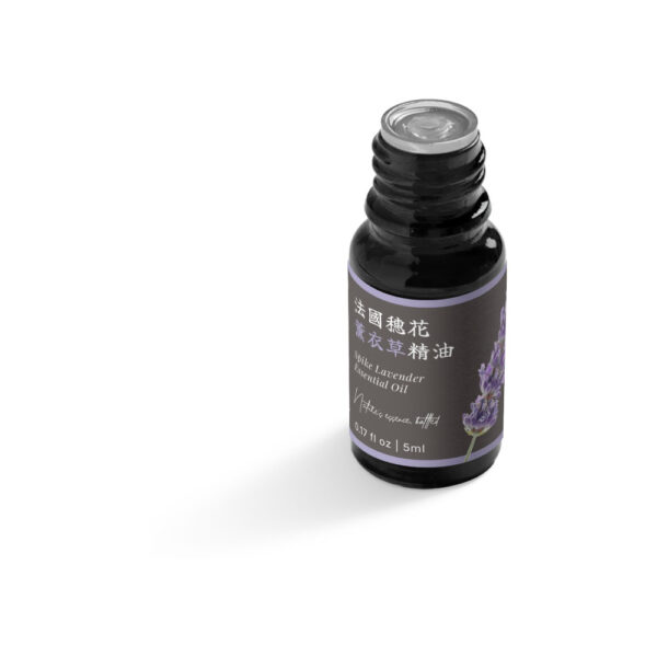 法國穗花薰衣草精油：圖片 7