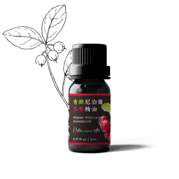 有機尼泊爾冬青精油