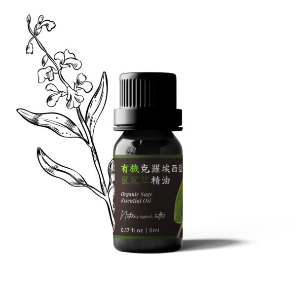有機克羅埃西亞鼠尾草精油