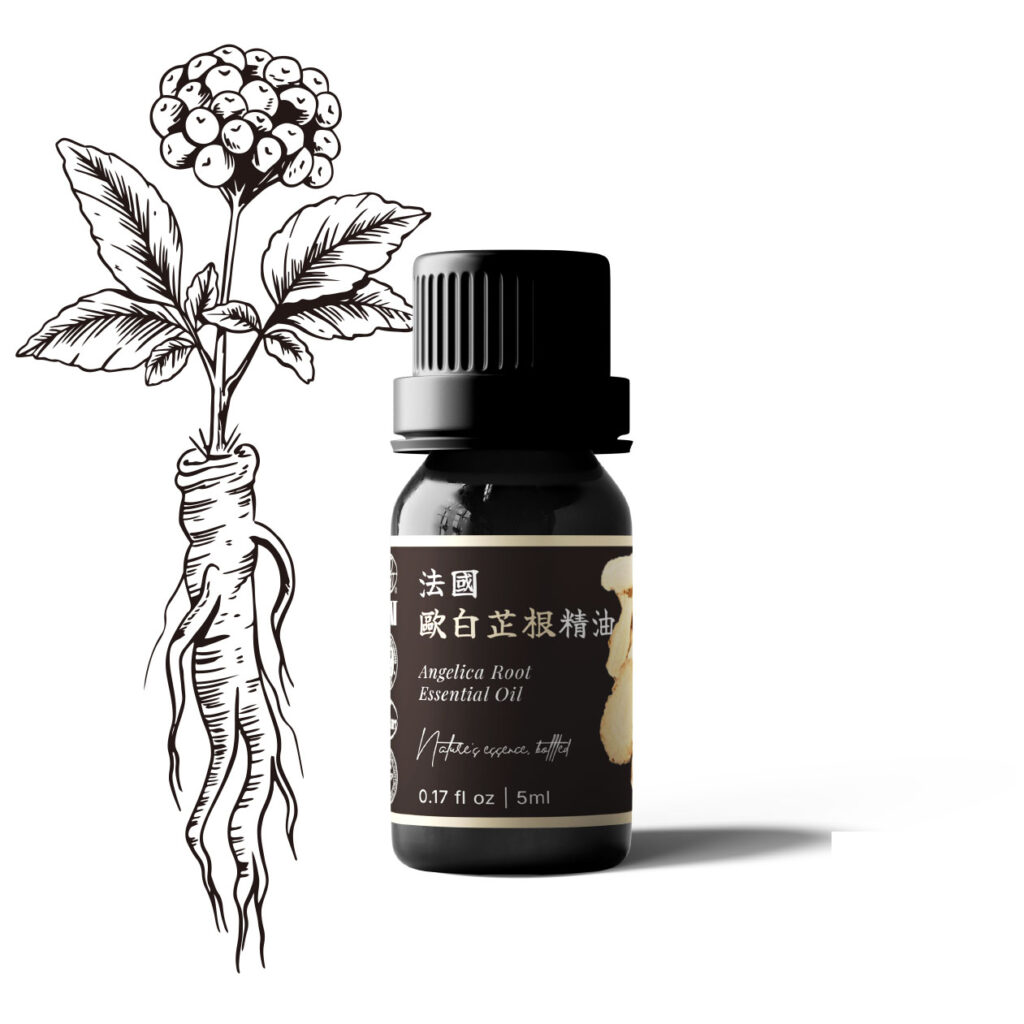 法國歐白芷根精油