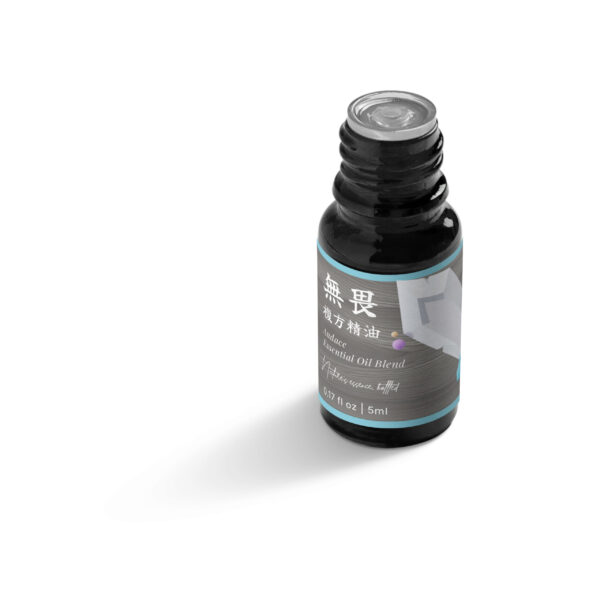 無畏－釋放束縛，重拾自信，無所畏懼：圖片 9
