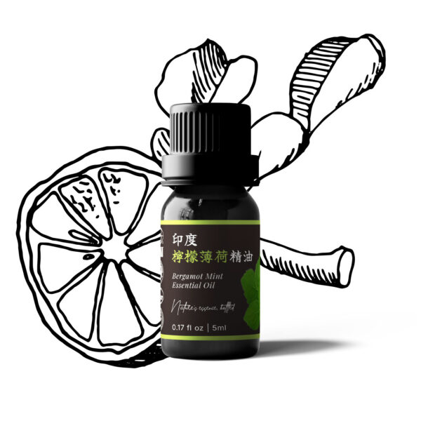 印度檸檬薄荷精油