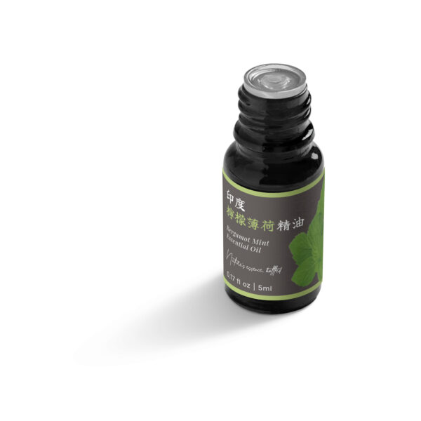 印度檸檬薄荷精油：圖片 5