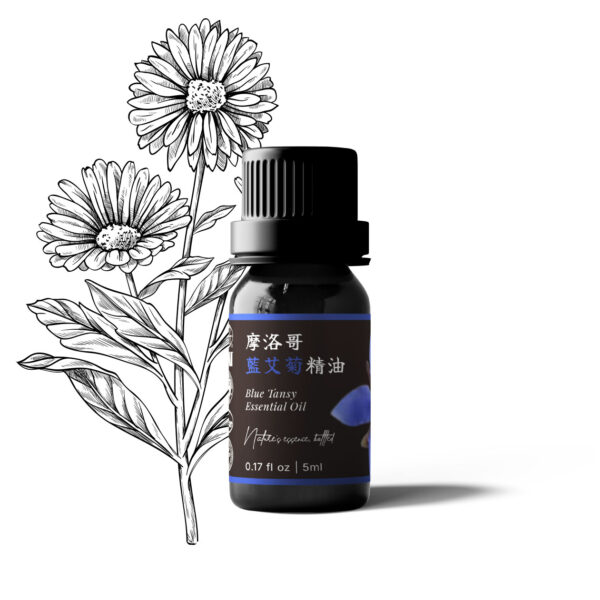 摩洛哥藍艾菊精油