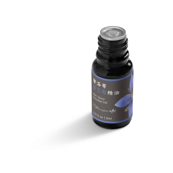 摩洛哥藍艾菊精油：圖片 5
