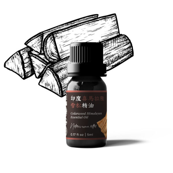 印度喜馬拉雅雪松精油