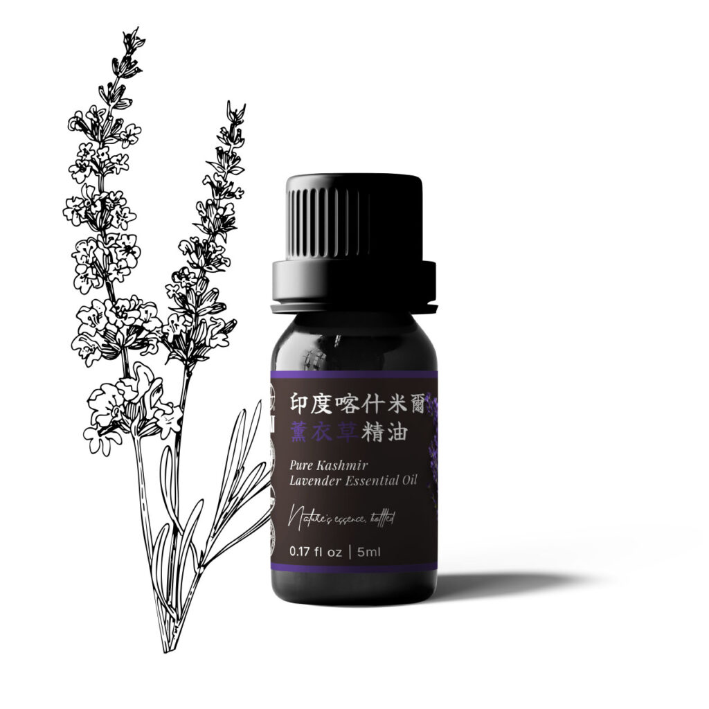 印度喀什米爾薰衣草精油