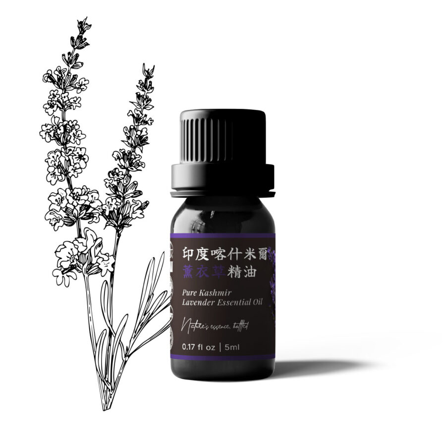 印度喀什米爾薰衣草精油