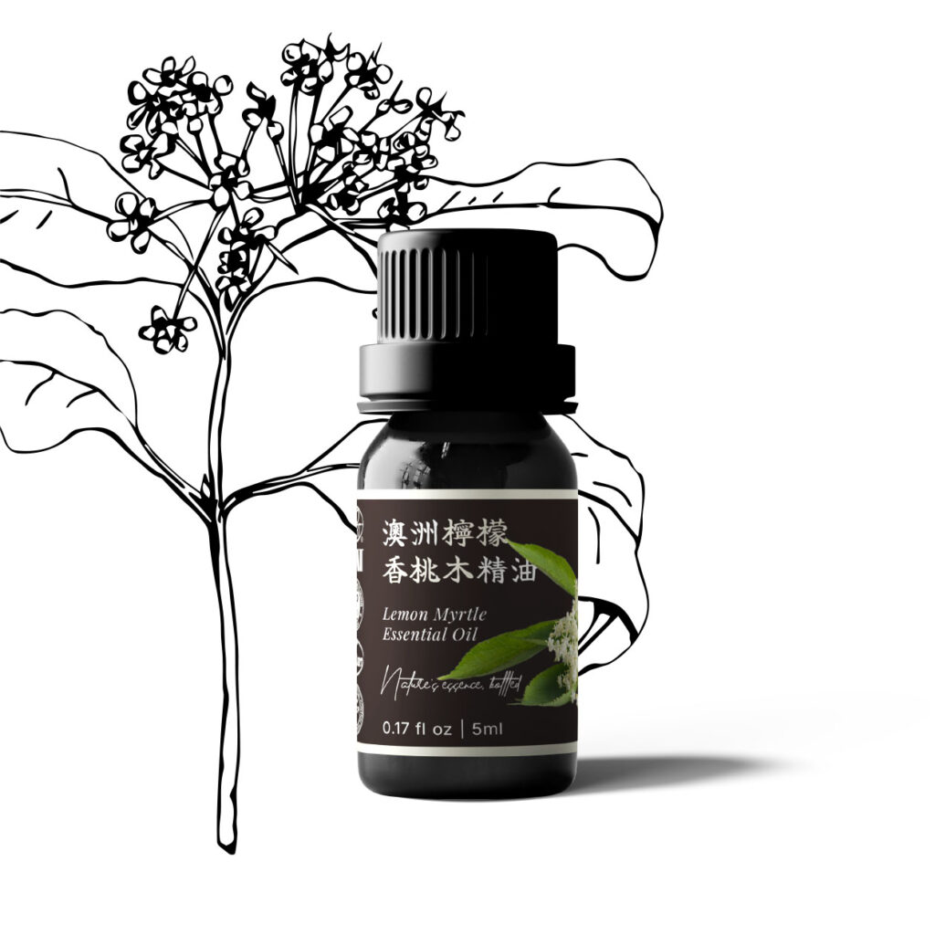 澳洲檸檬香桃木精油