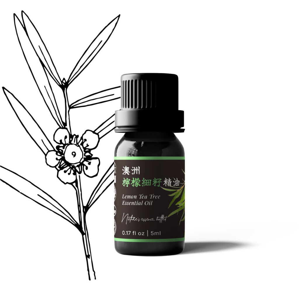 澳洲檸檬細籽(茶樹)精油