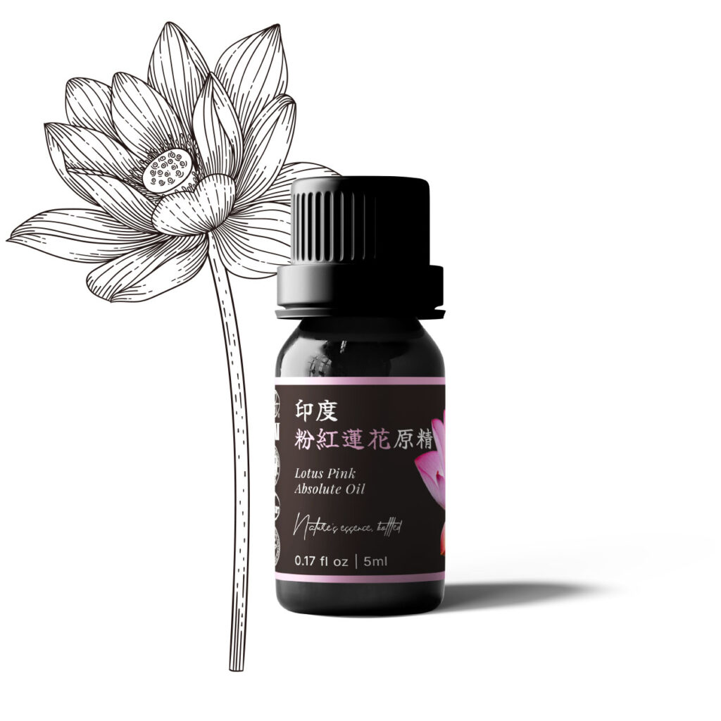 印度粉紅蓮花原精