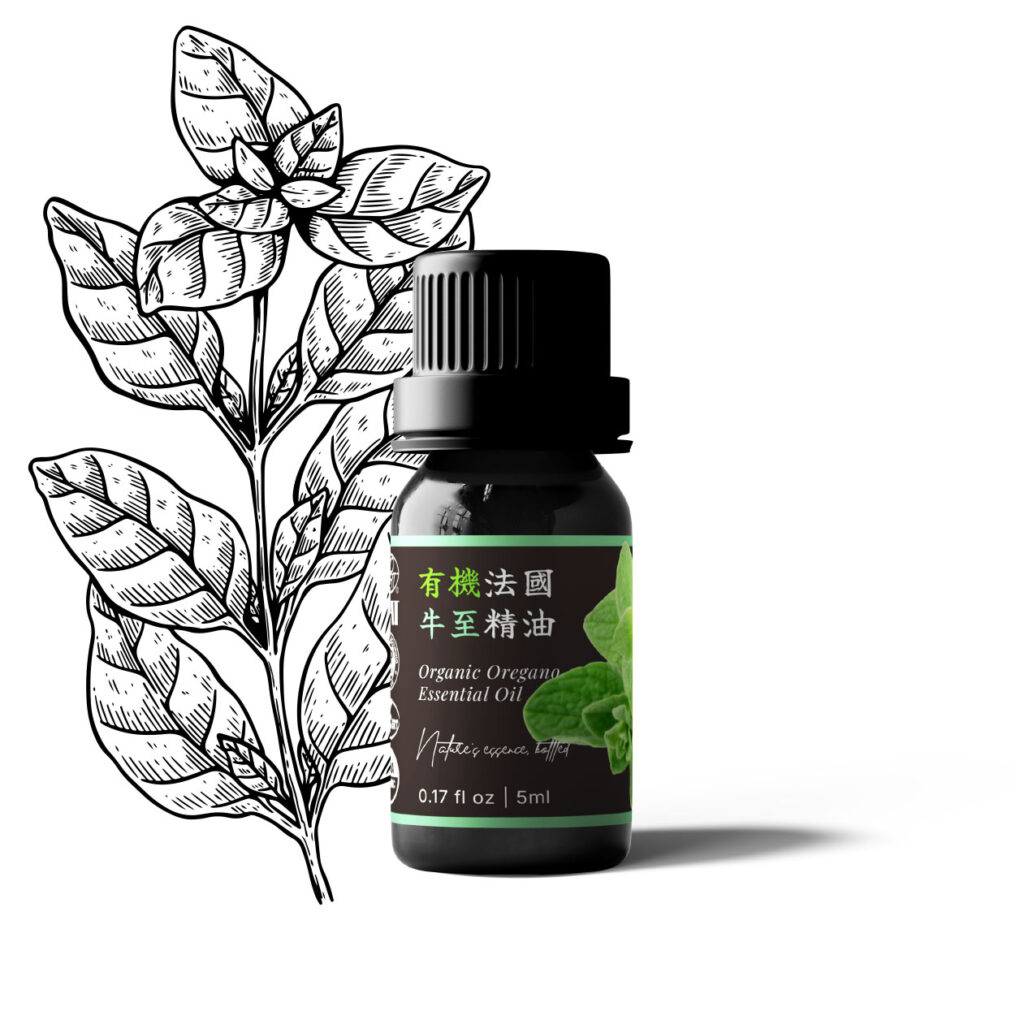 有機法國牛至(野馬鬱蘭)精油