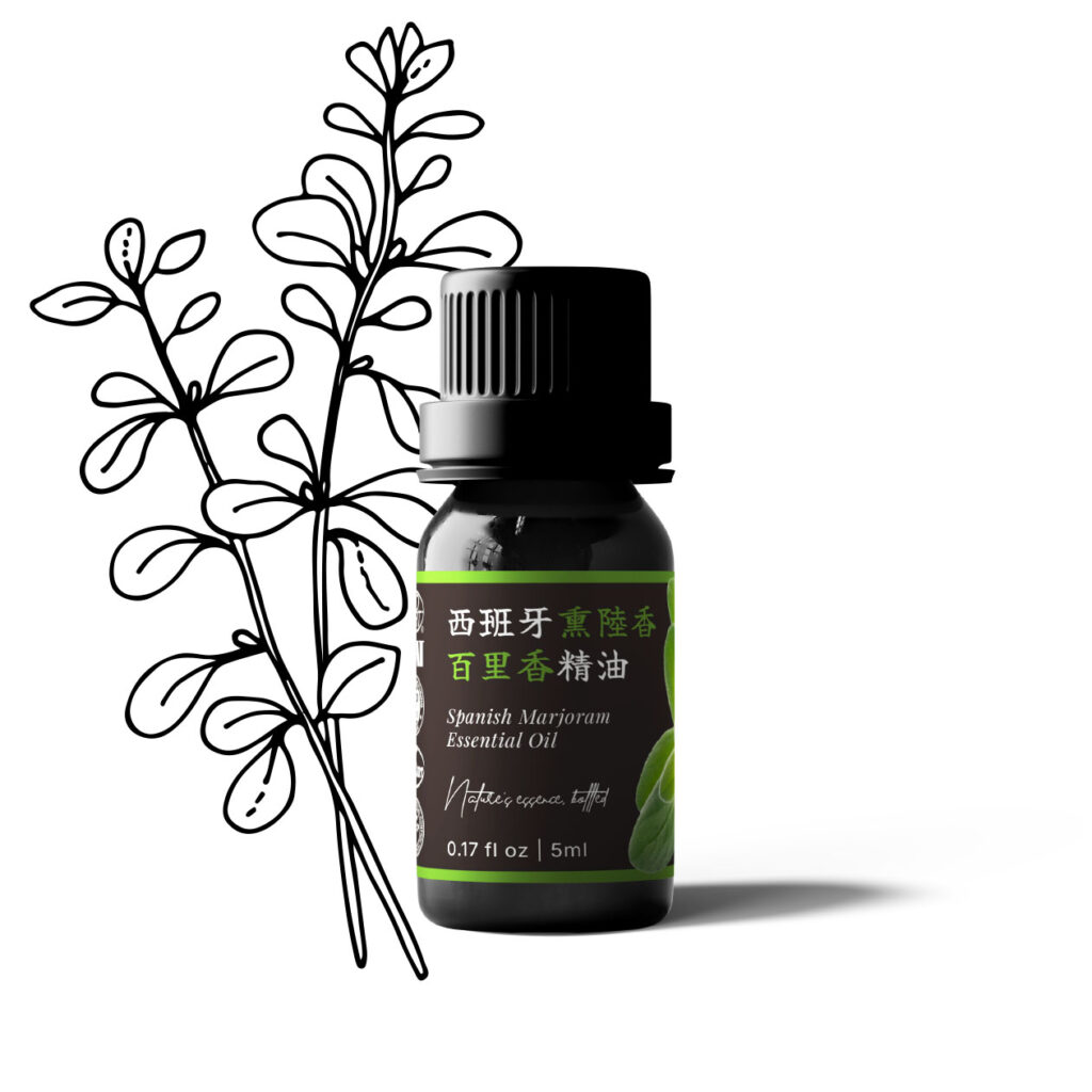 西班牙熏陸香百里香精油