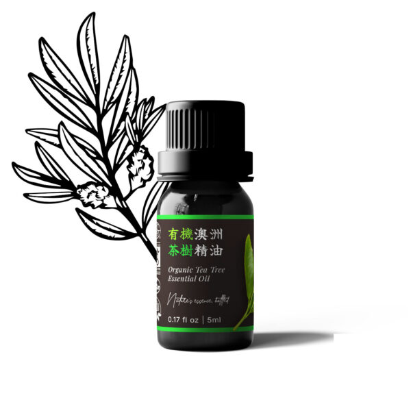 有機澳洲茶樹精油