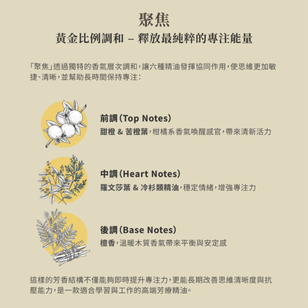 聚焦－激發專注力，提升思維清晰度：圖片 3
