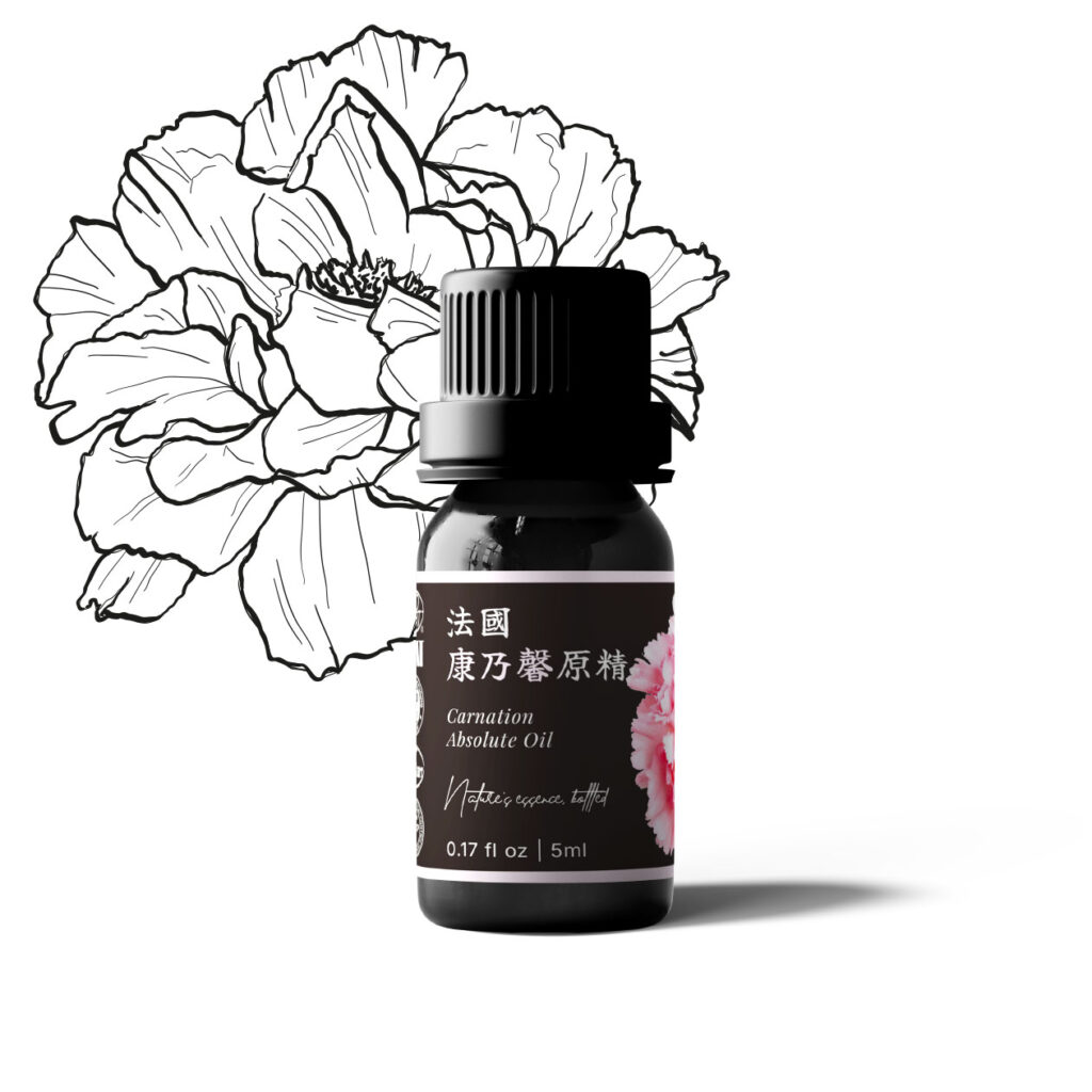 法國康乃馨原精
