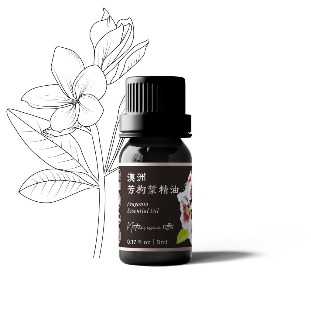 澳洲芳枸葉精油