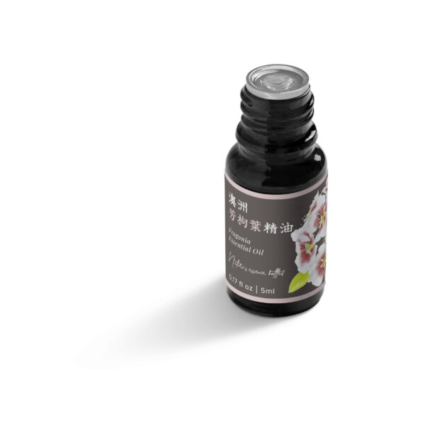澳洲芳枸葉精油：圖片 5