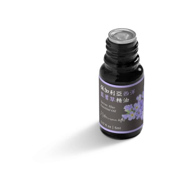 保加利亞西洋藍蓍草精油：圖片 5