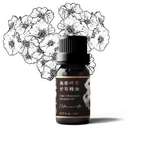 南非岬角甘菊精油