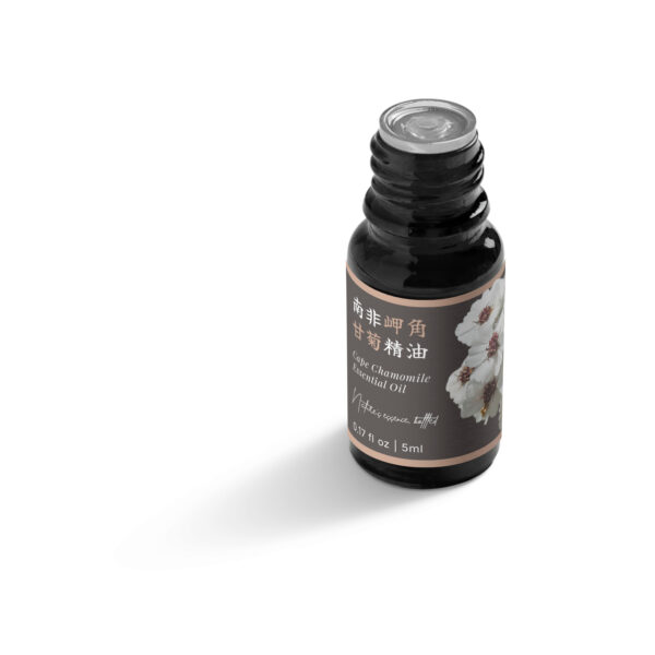 南非岬角甘菊精油：圖片 5