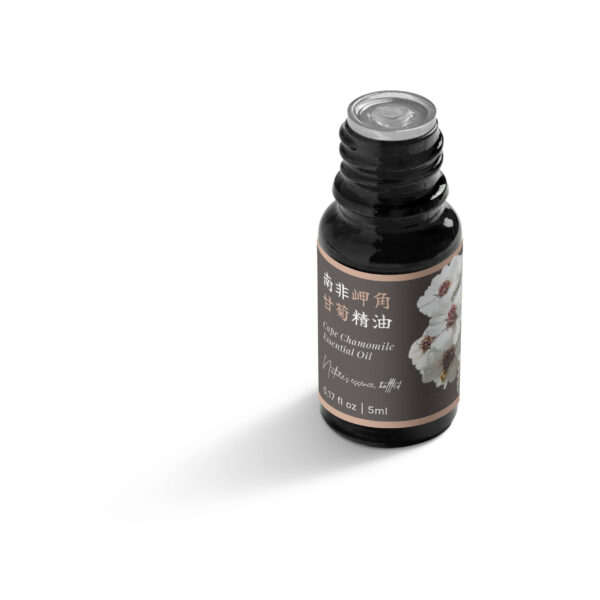 南非岬角甘菊精油：圖片 5