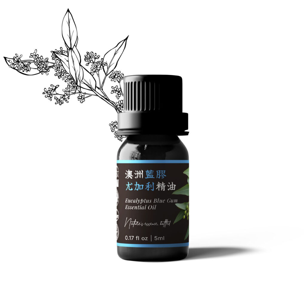 澳洲藍膠尤加利精油