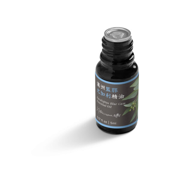 澳洲藍膠尤加利精油：圖片 5