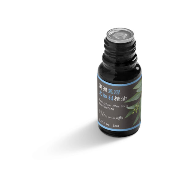 澳洲藍膠尤加利精油：圖片 5
