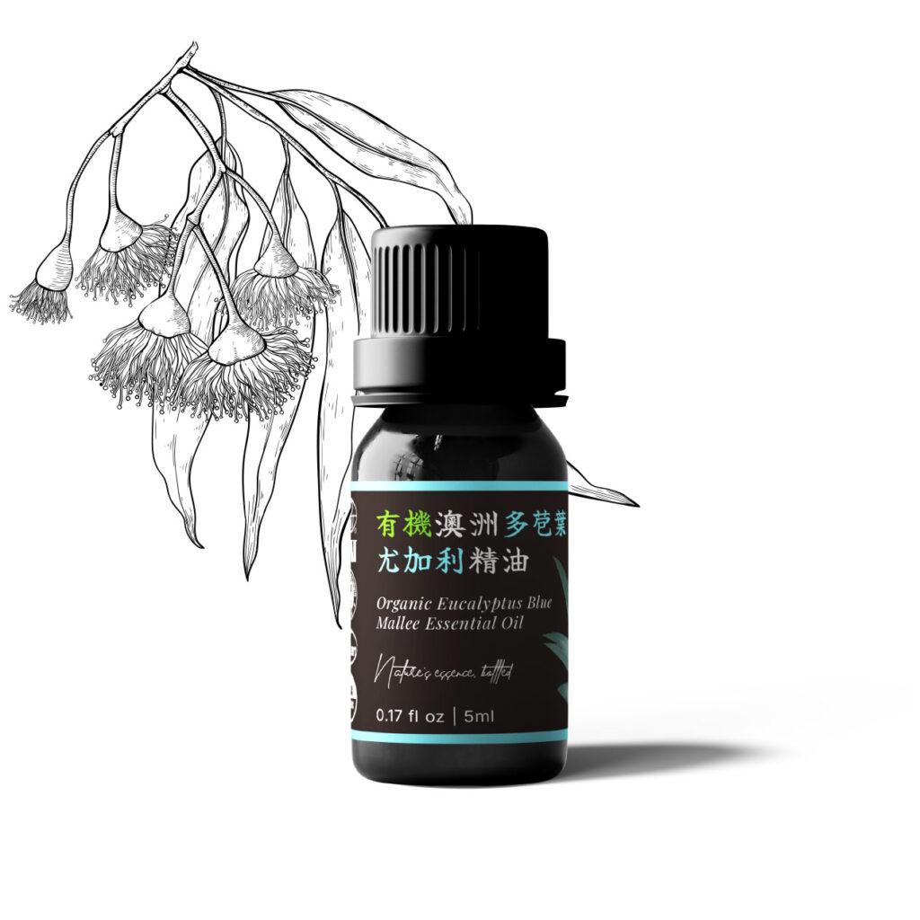 有機澳洲多苞葉尤加利精油(桉油醇型)