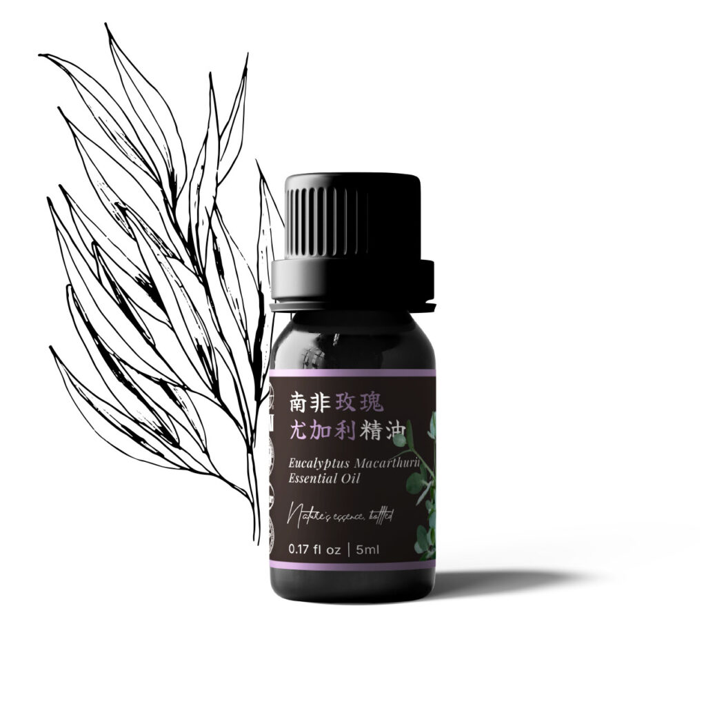 南非玫瑰尤加利精油