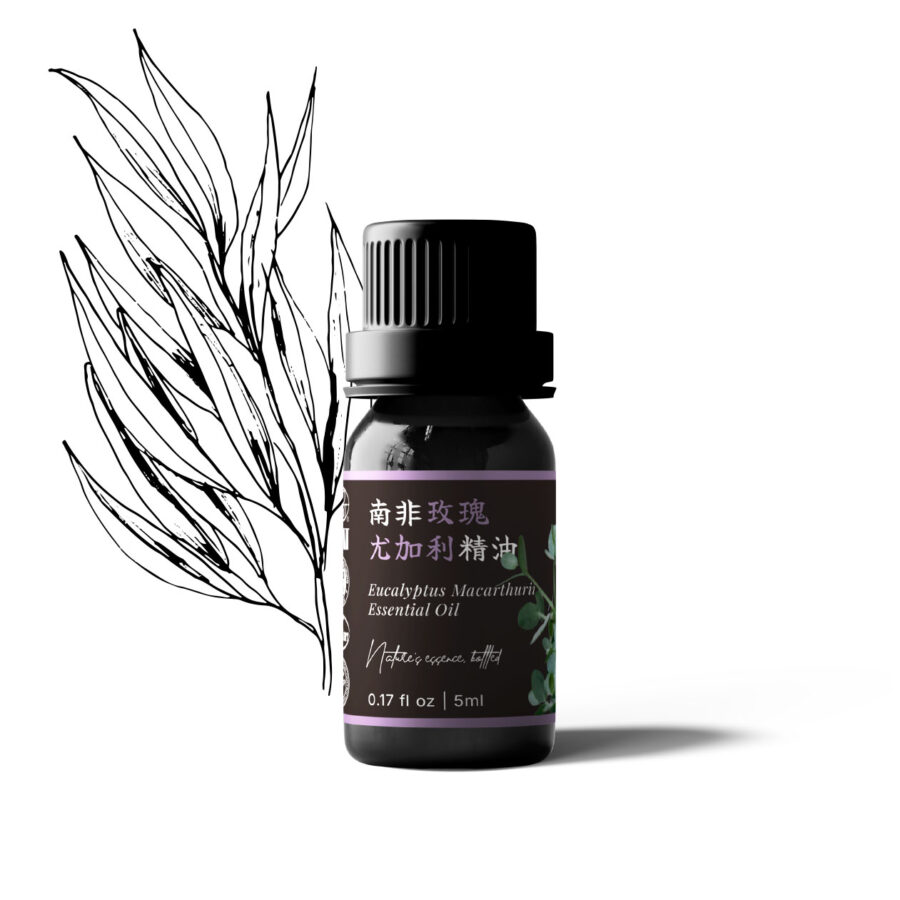 南非玫瑰尤加利精油